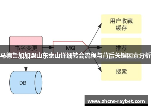 马德鲁加加盟山东泰山详细转会流程与背后关键因素分析 马德鲁加加盟山东泰山详细转会流程与背后关键因素分析